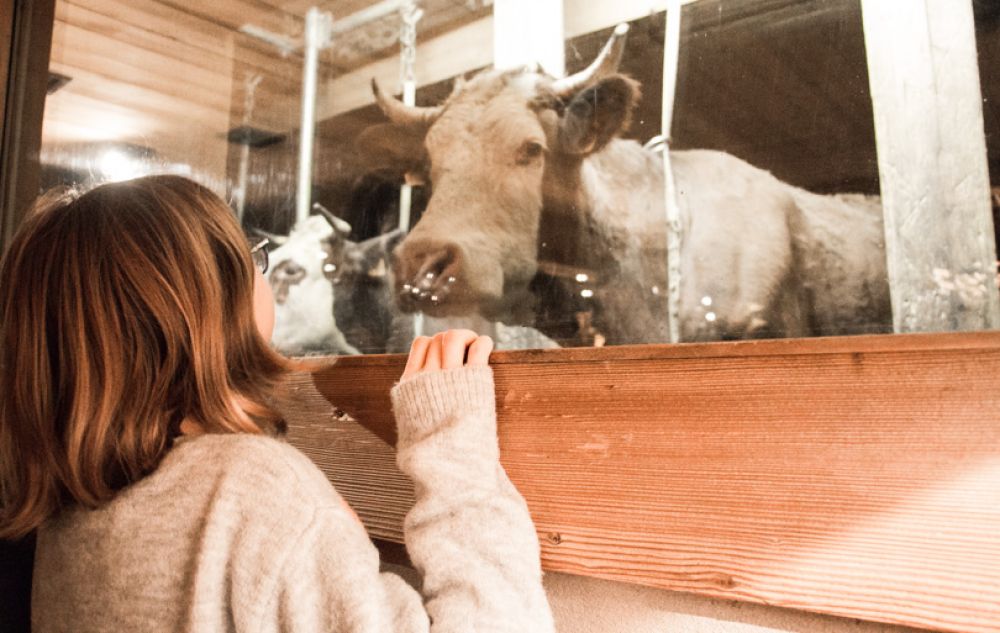 La ferme de Victorine